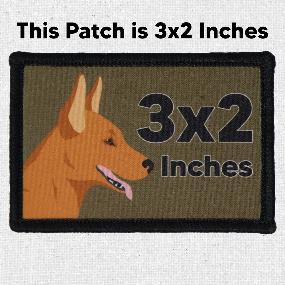 Dumpster Fire Patch Moral Tactical Meme Trash Military USA Flag Hook & Loop 3x2