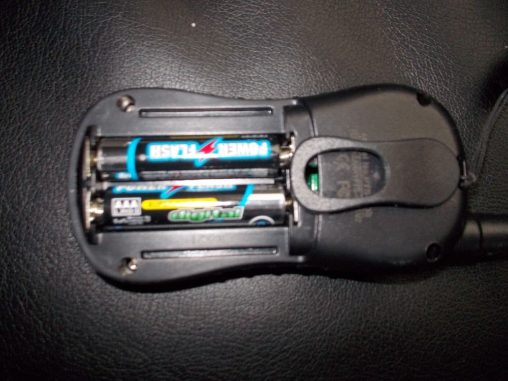 Dog Remote Training Collar