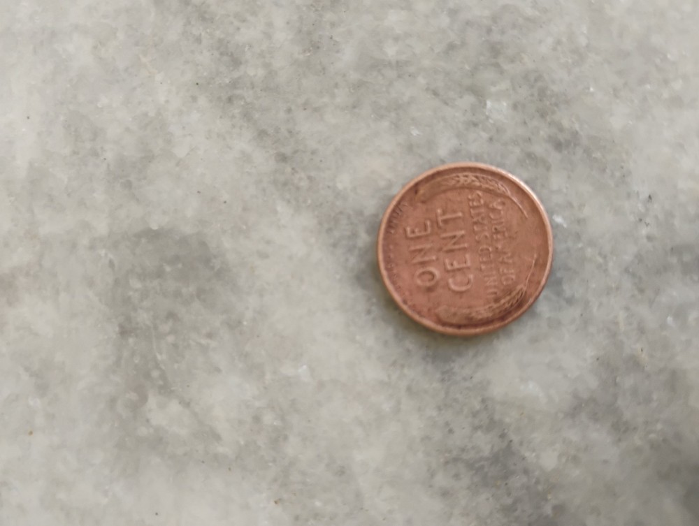 1955 d wheat penny
