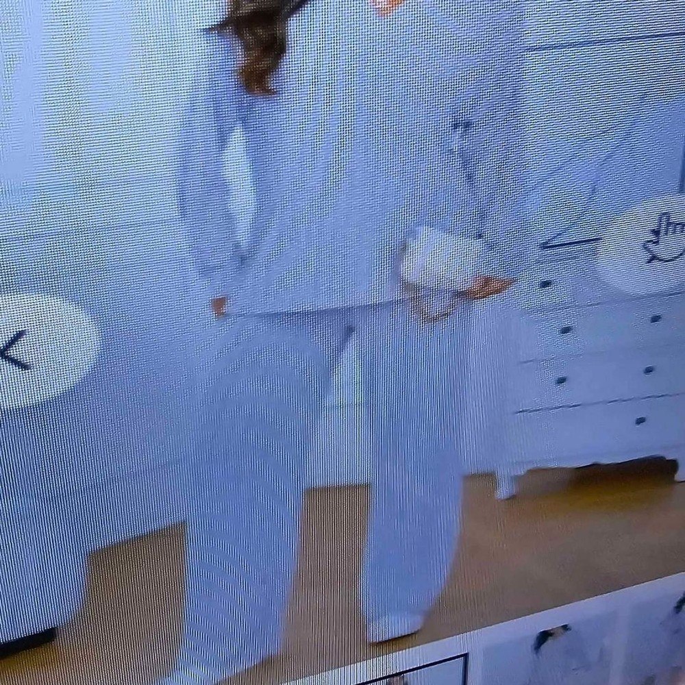 New Solid Casual Two Piece Women's Gray Medium Set