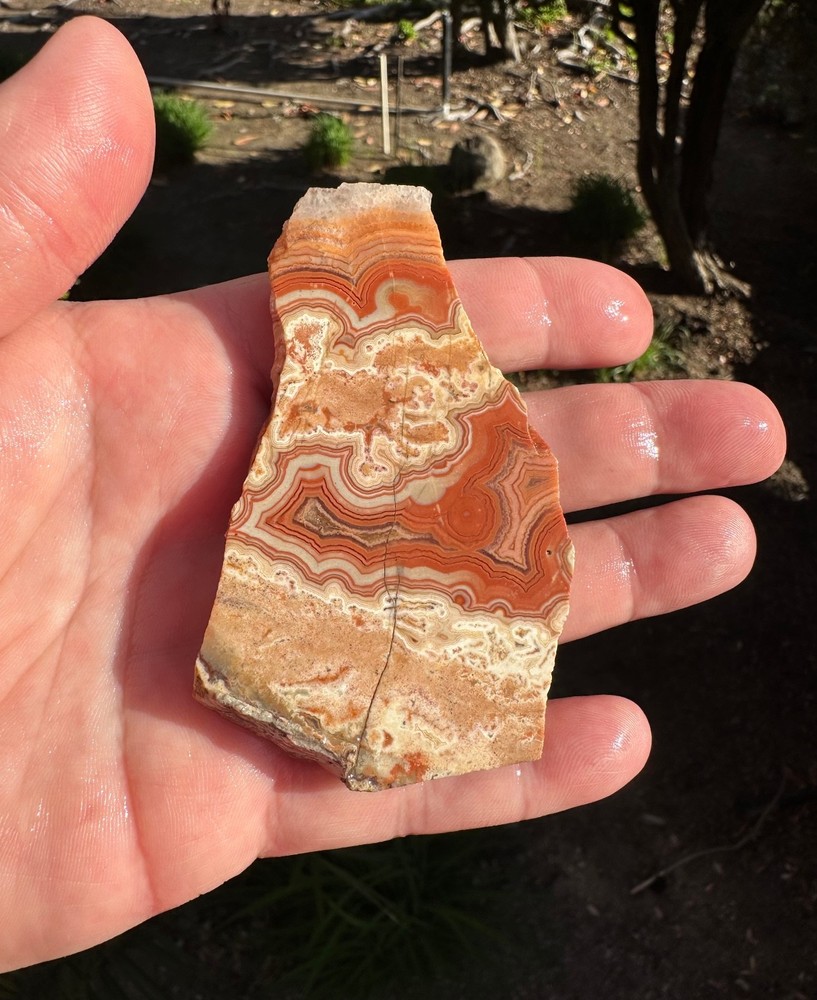 Dryhead Agate Slab, 43 grams, Cabbing/Lapidary