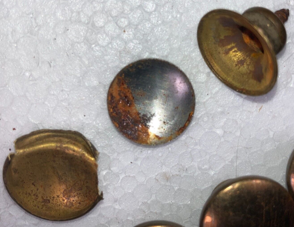 8 Antique Solid Brass Shell Drawer Door Pull Knob Handle Cupboard Screw 2 cm