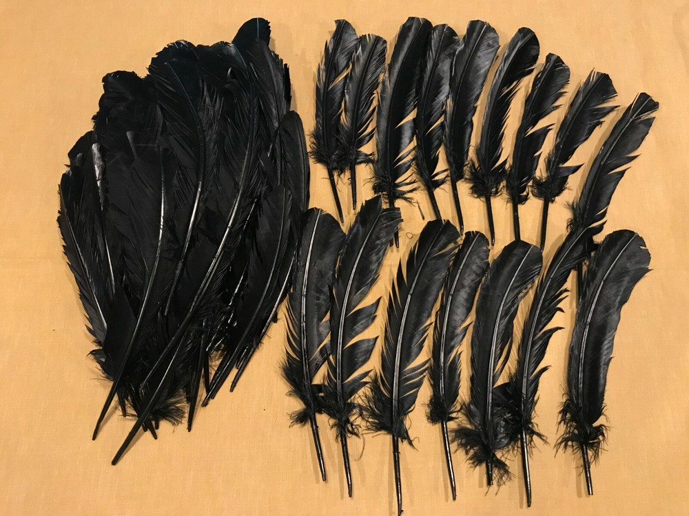 Dyed Black Turkey Feathers, 1/2 Pound, #2 Quality