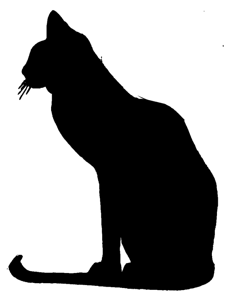 Blueprint Plan For Yard Shadow CAT