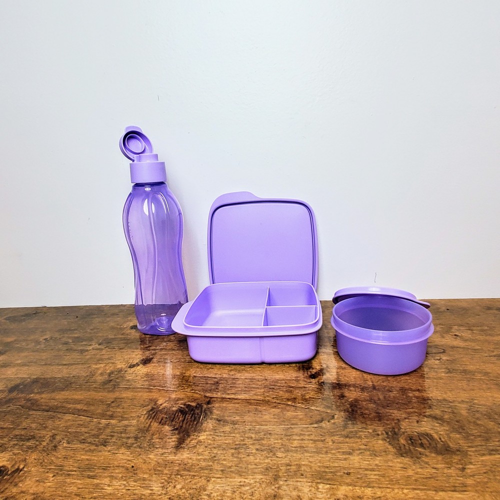 Eco-Friendly Tupperware Lunch Set Sandwich Box, Snack Container
