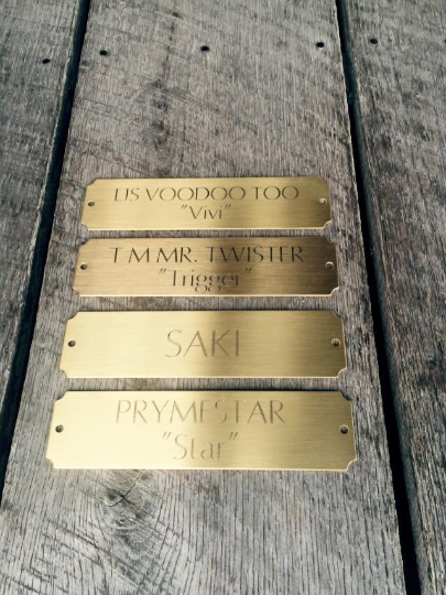 Custom Personalized Solid Brass Engraved 8" X 2" Stable/Stall Plate w/screws