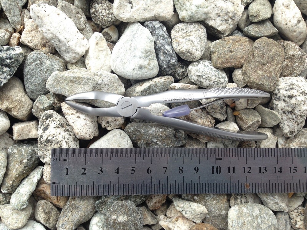 Children's Forceps Spring Upper Roots Fig 4. #1181