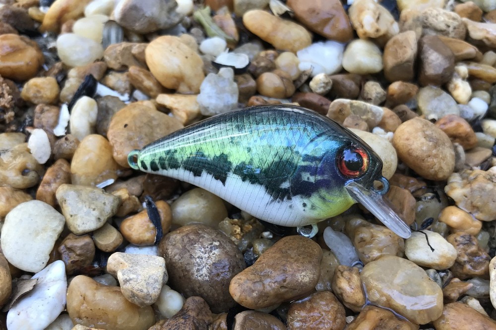 SPEEDBAITS Custom Airbrushed Crankbait