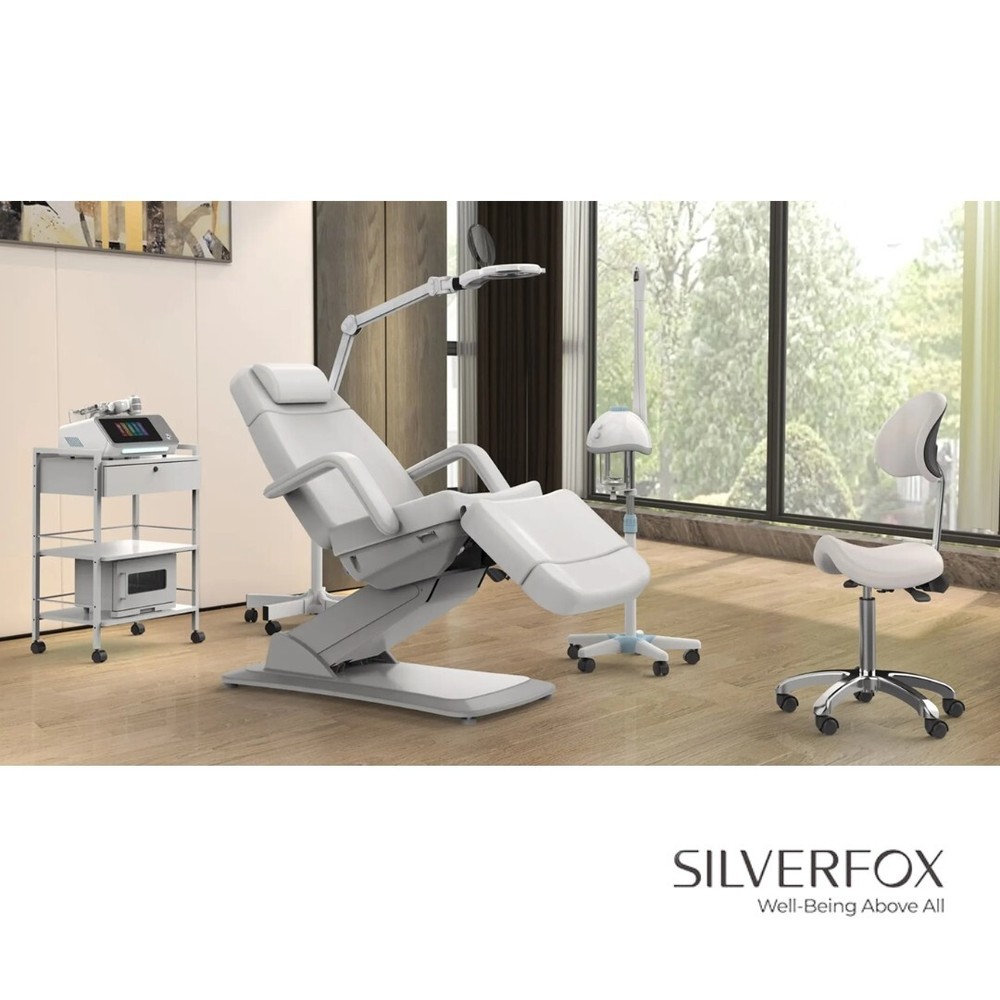 Silverfox Facial & Exam Chair