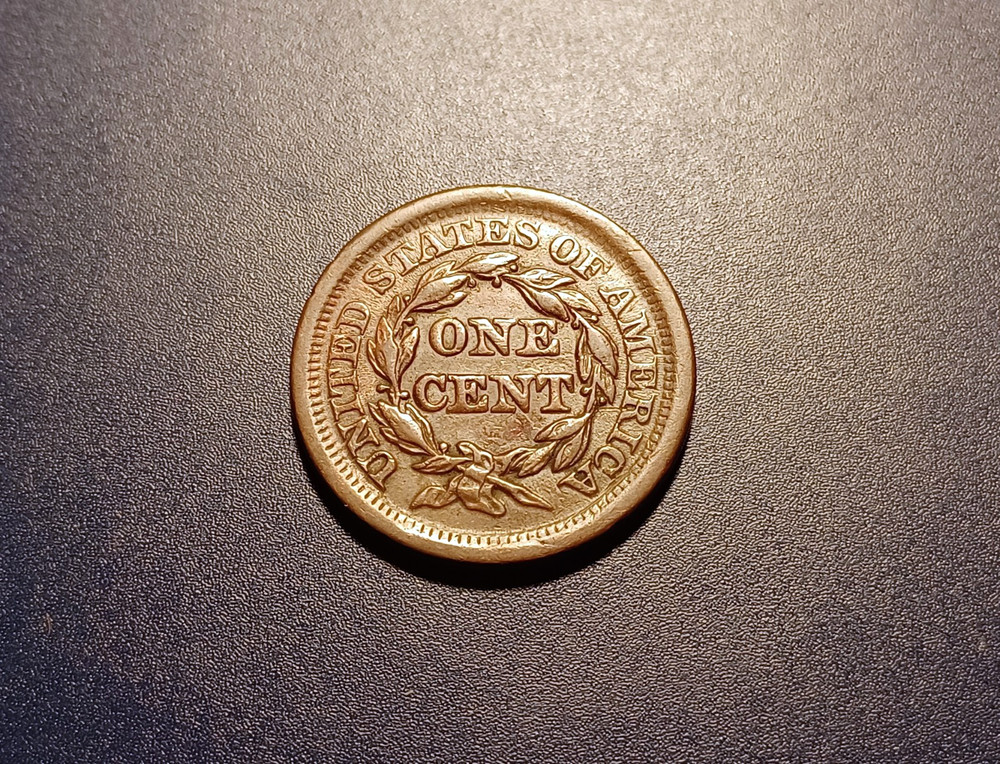 Nice AU 1854 Braided Hair Large Cent