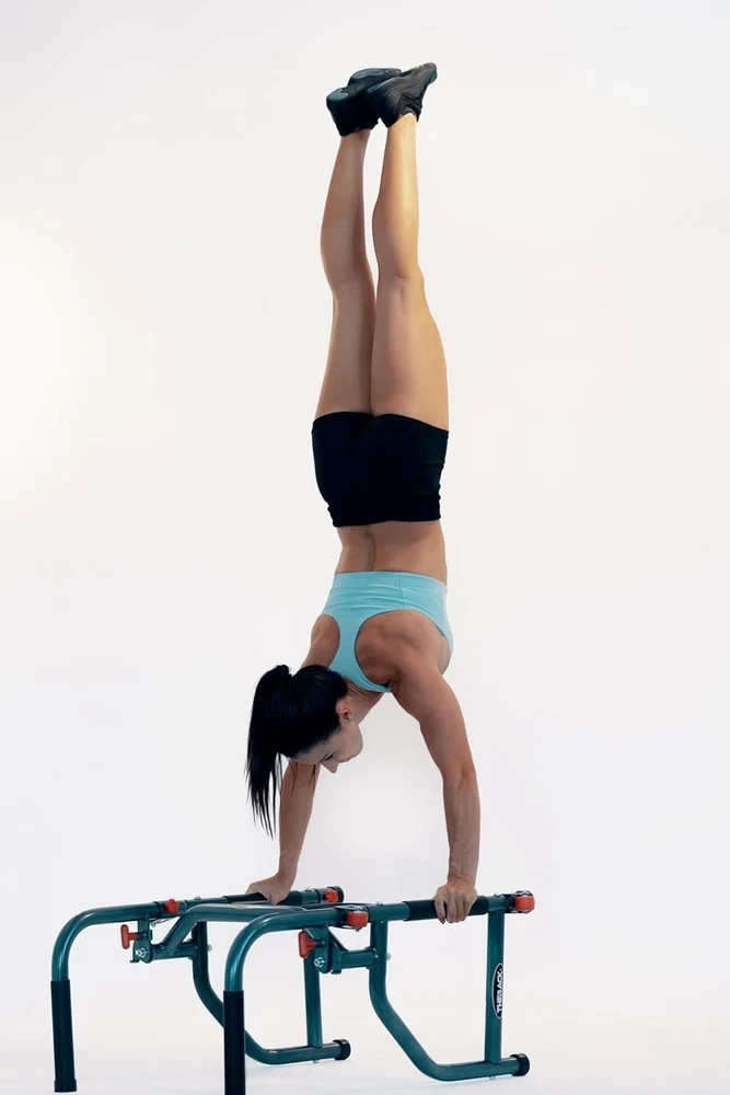 ® Workout Station 30 Lb Pro Version