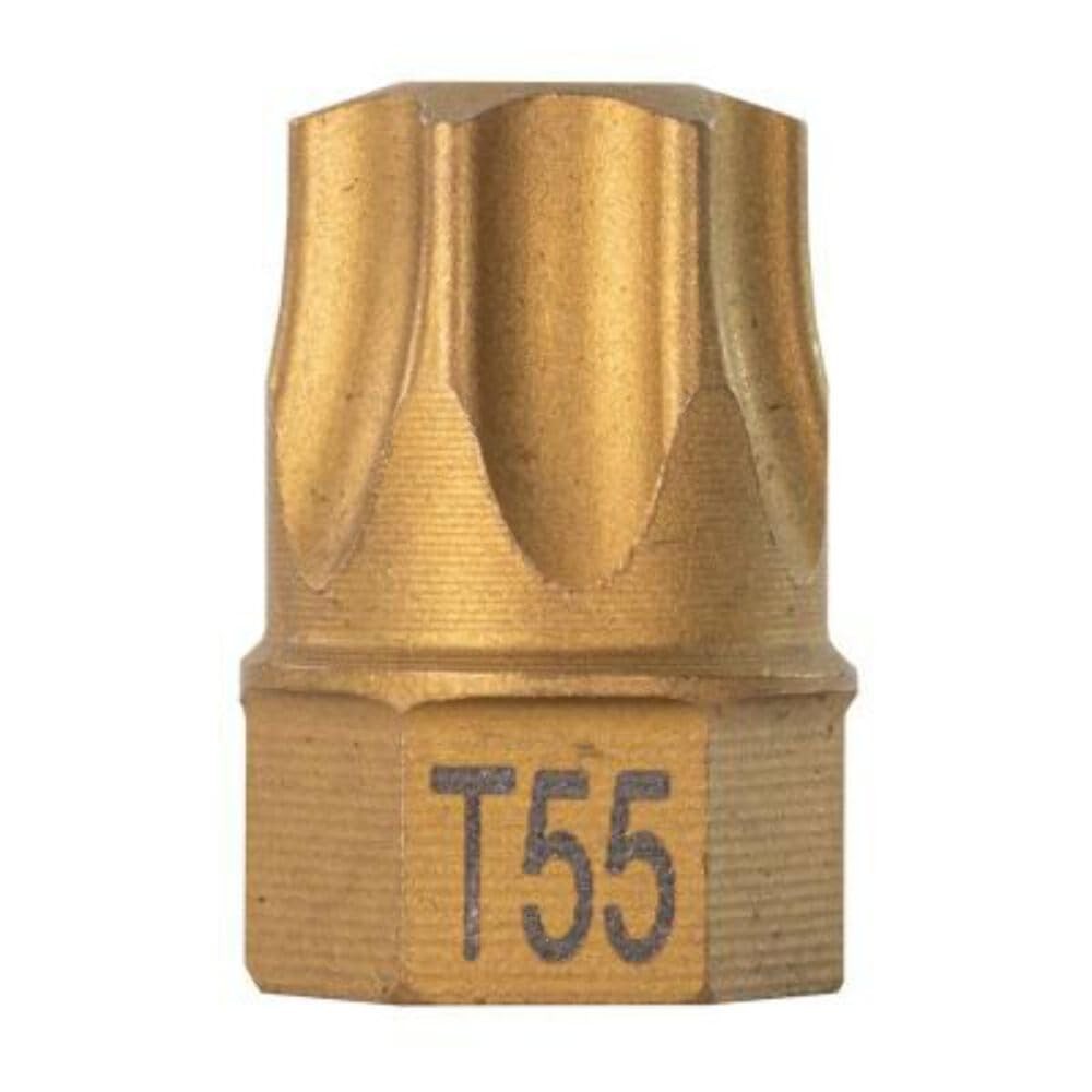 T55 Torx Dual Drive Bit