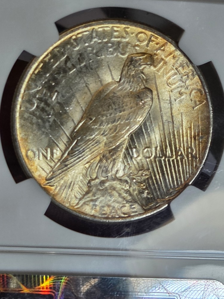 1925 $1 Peace Dollar NGC MS62 Toned