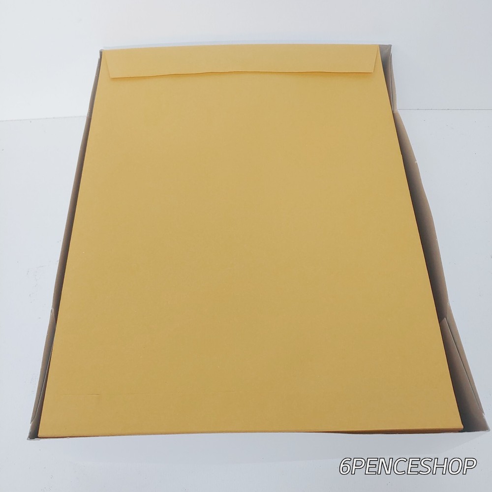 Peel Seal Strip Envelope 9 x 12 Kraft 100/Box