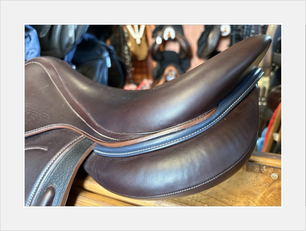 Arion C2 Event jump saddle. 17” MW