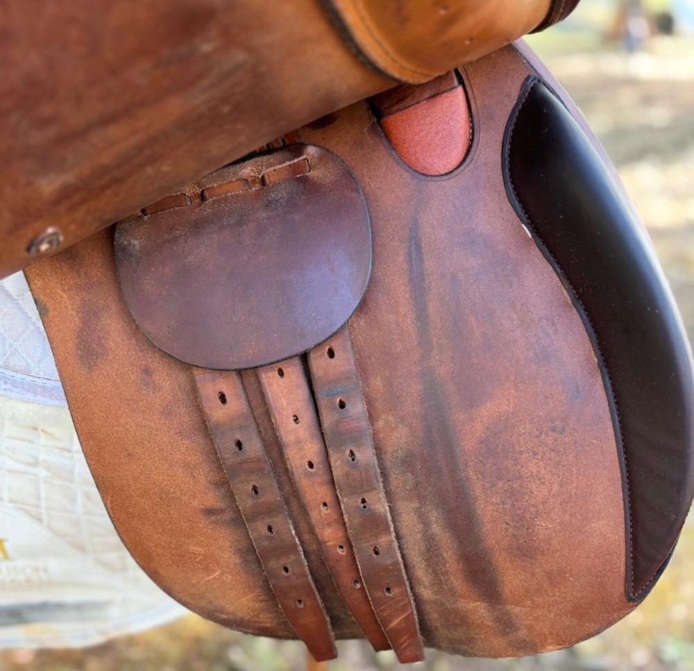 Stackhouse english jump saddle 18.5" MW