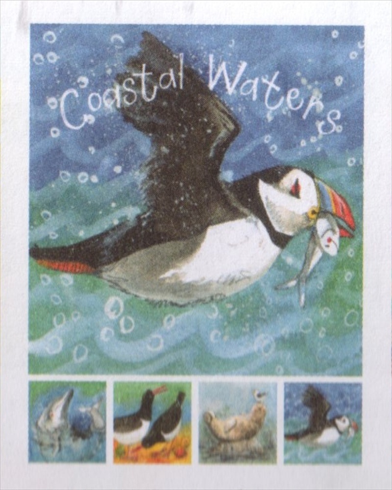 Alex Clark Art - Notelet Box - Coastal Waters - New