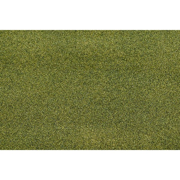 Grass Mat Moss Green 50x34'