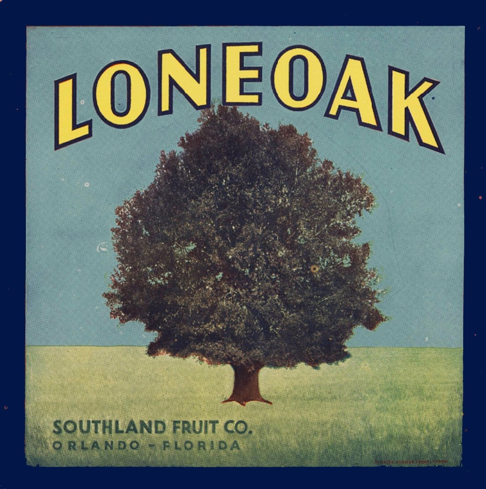 Orlando Florida Loneoak Tree Orange Citrus Fruit Crate Label Print