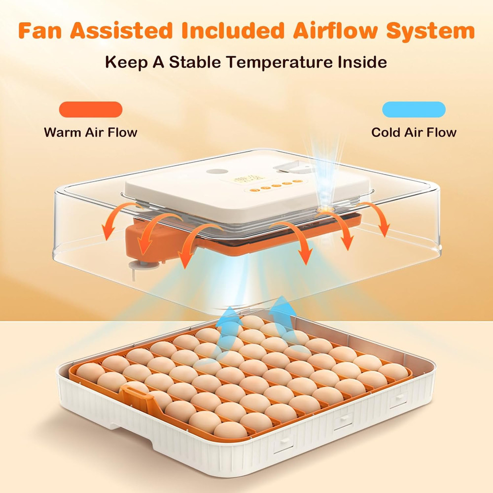 56 Egg Incubator with Auto-Turning, Hatching Temperature & Humidity Control
