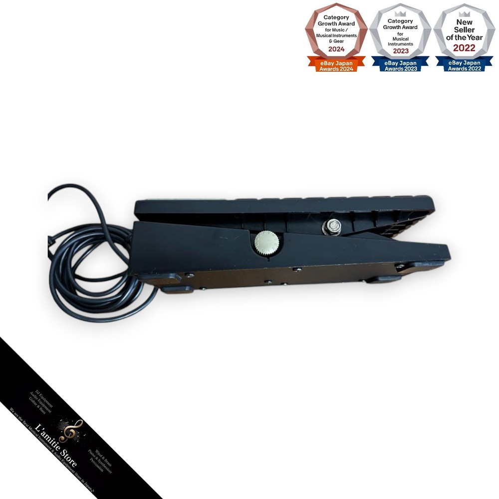 Roland EV-5 Expression Pedal Controller Pedal Roland-EV5 Operation Confirmed JP