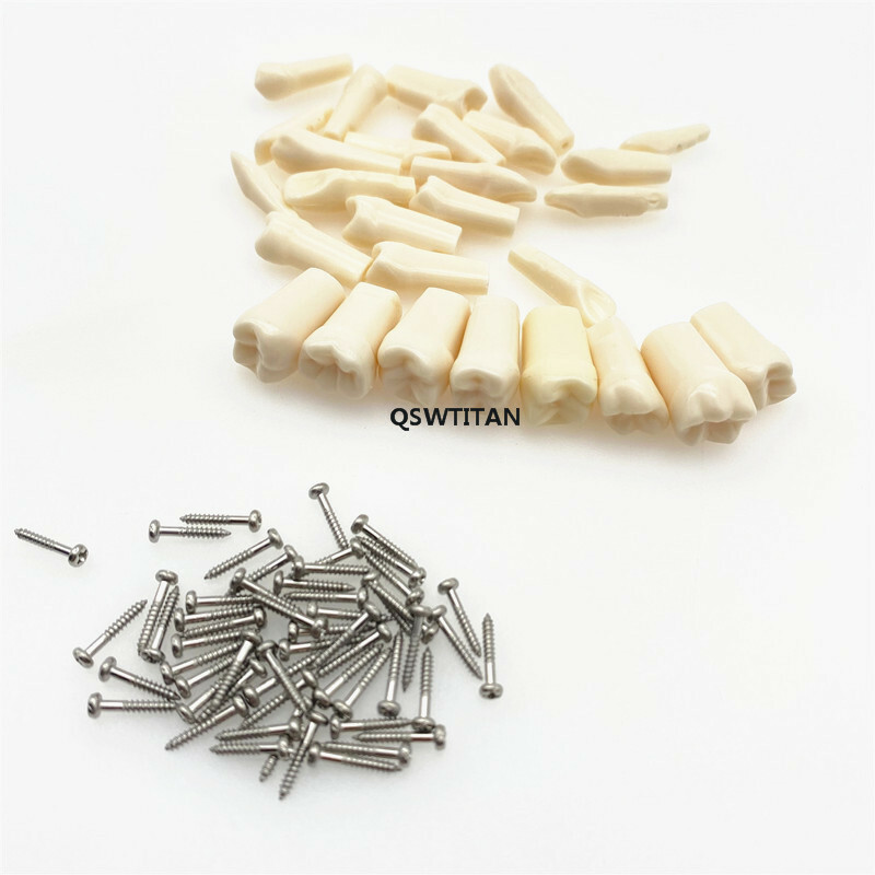 Resin Simulation Tooth Grain Replace teeth For teeth Model macth Nissin brand