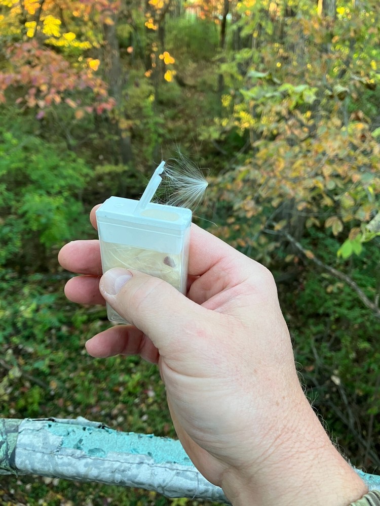 2 Pack Milkweed Wind Indicator