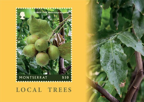 Montserrat Scott #'s 1421 MNH