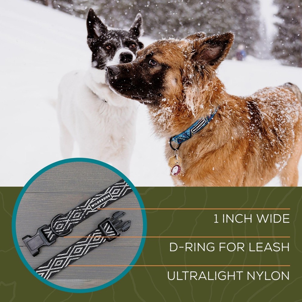 Ultralight Collar Series for Dogs - Medium - Daybreak