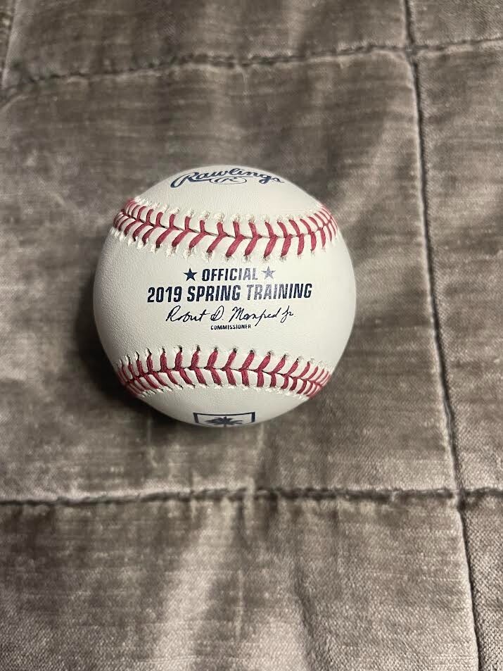 Vladimir Guerrero Jr Signed 2019 Spring Training MLB Baseball