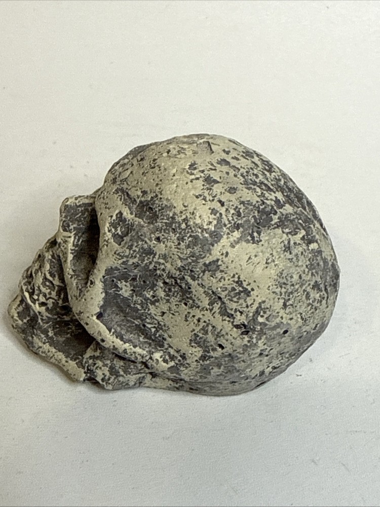 Mini Stone? Skull 1.75” High Halloween Decor