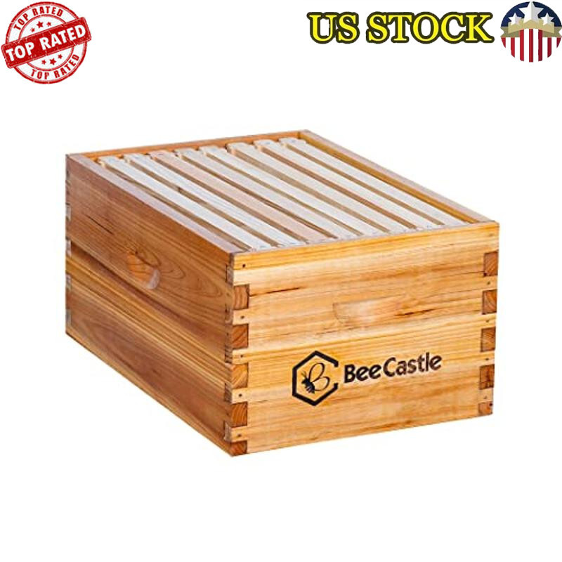 Heavy Wax Coated Langstroth Deep/Brood Box 8 Frame Beeswax Foundation Sheets New