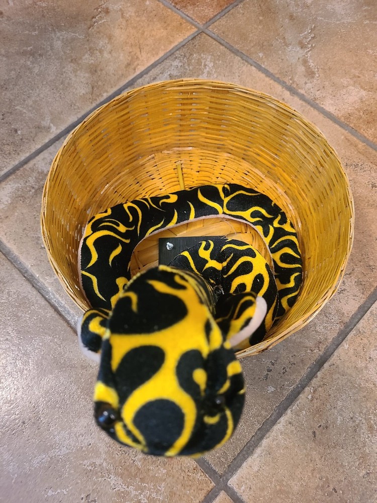 Snake Basket Magic Mentalism Trick