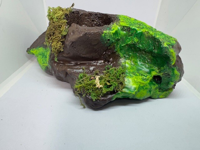 Medium Sub-tropical Magnetic Ledge With 5 Feeder Cups