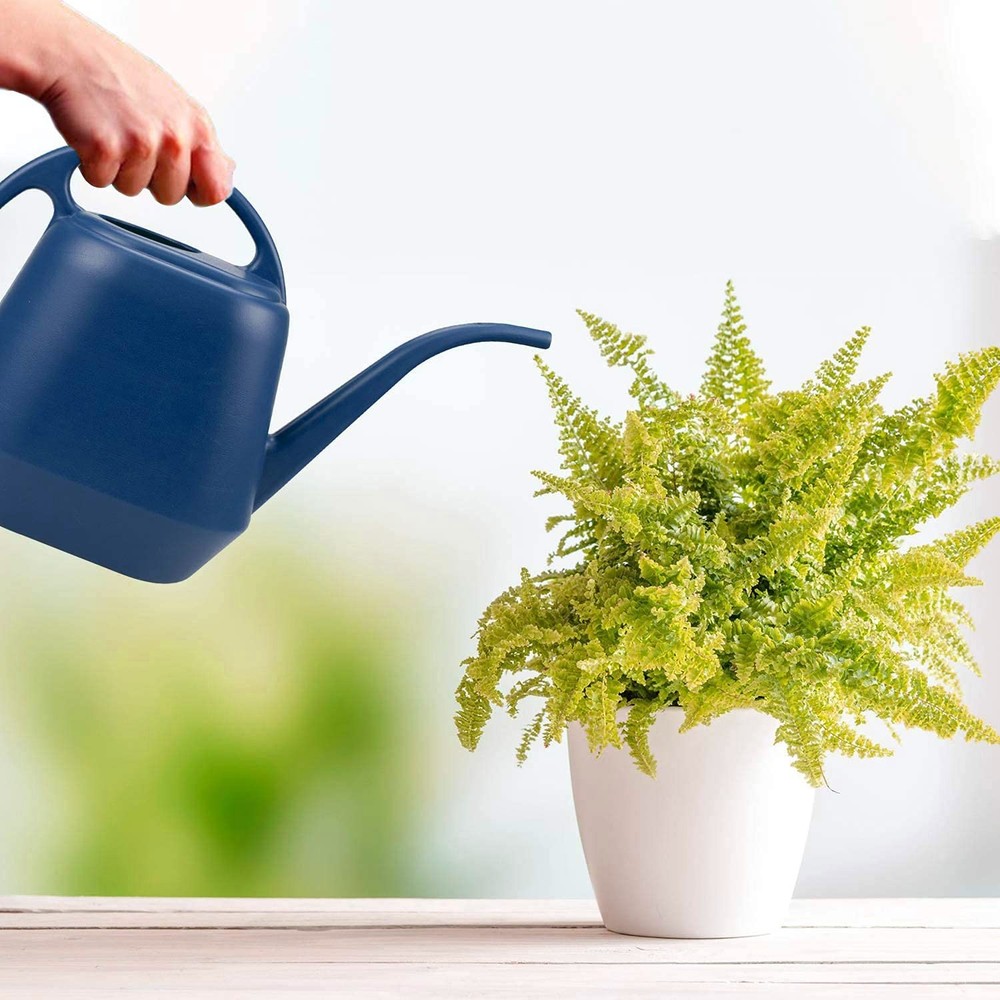 Plastic Watering Can Blue 1 Gallon