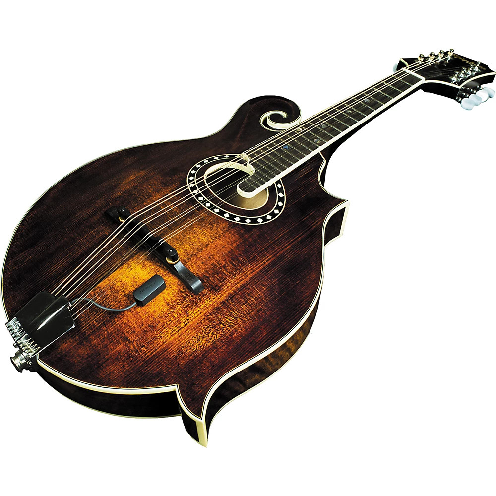 Radius Transducer Pickup for Mandolin