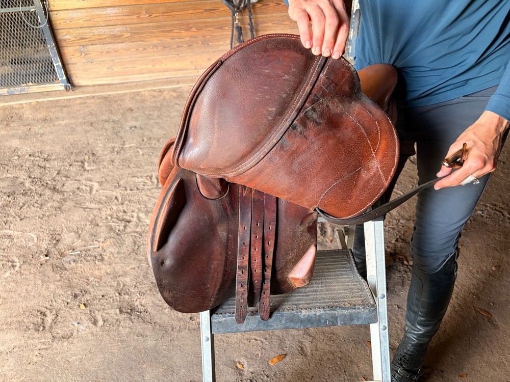 Antares Jump Saddle (estimated 16", used condition)