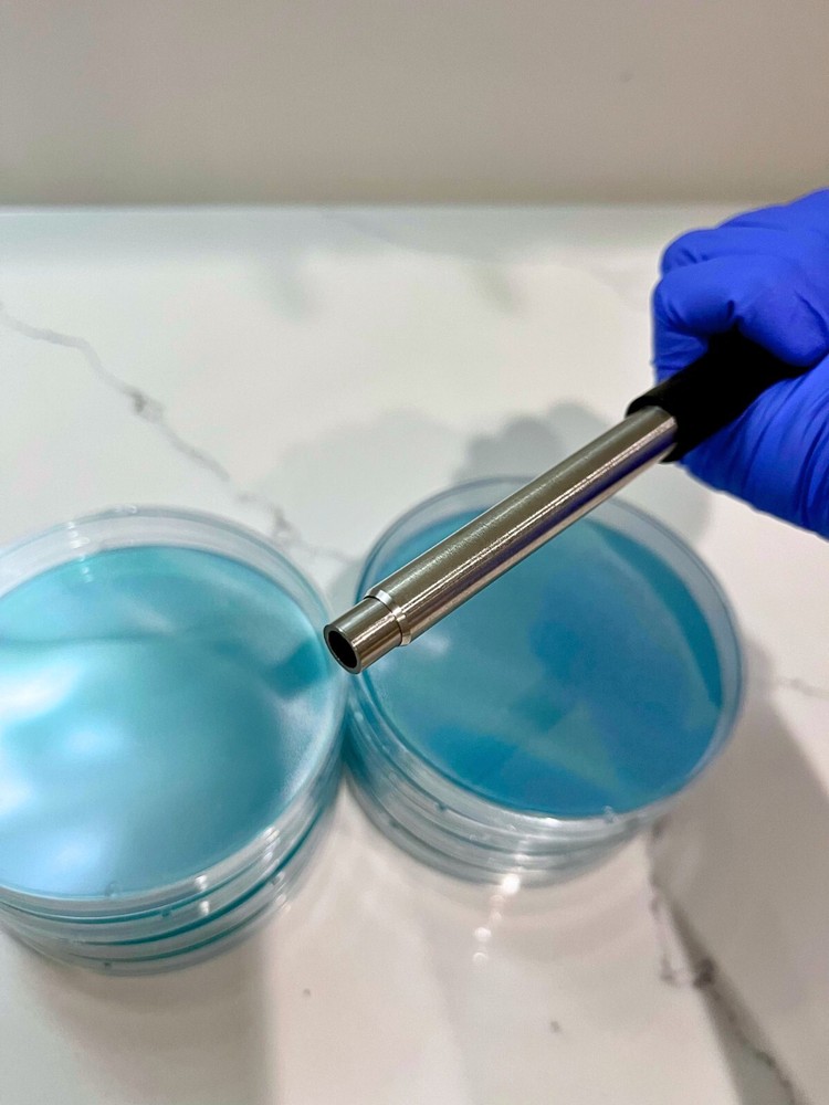 Agar Punch for Transferring Perfect Samples