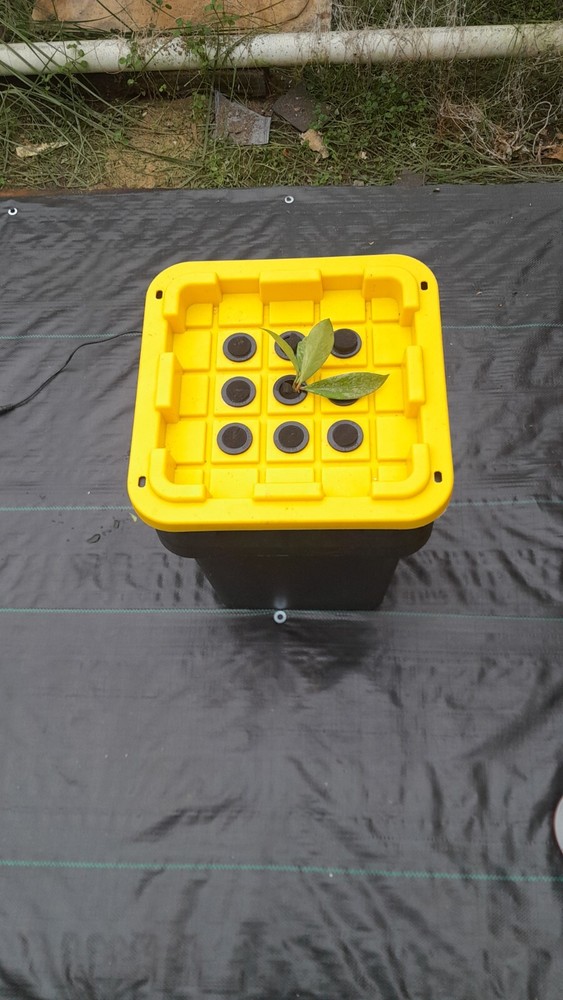 FOGPONIC PROPAGATION MACHINE