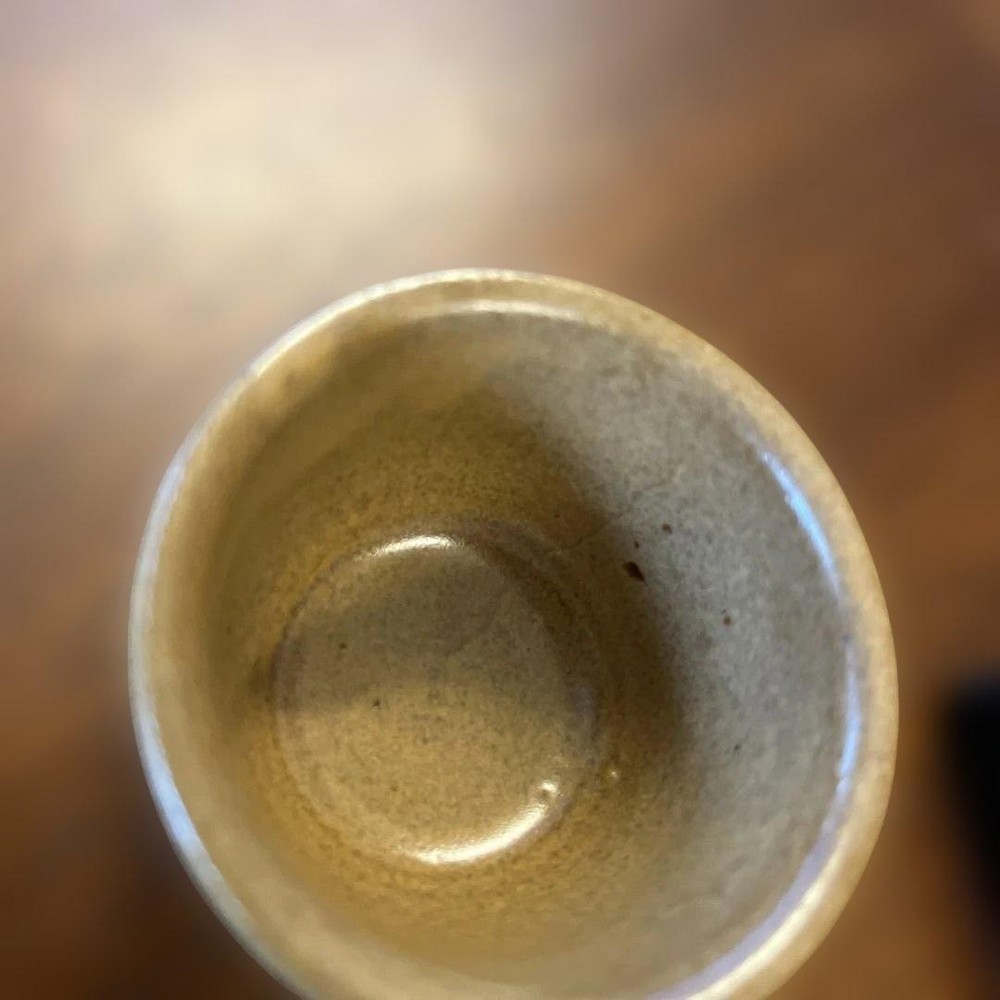 Ceramic sake bottle and sake cup set Iwakuni Tada ware