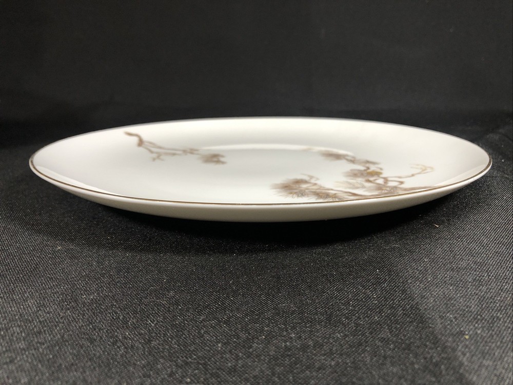 Larchmont by Sango Bone China dishes. Dinner Plate 10.5”