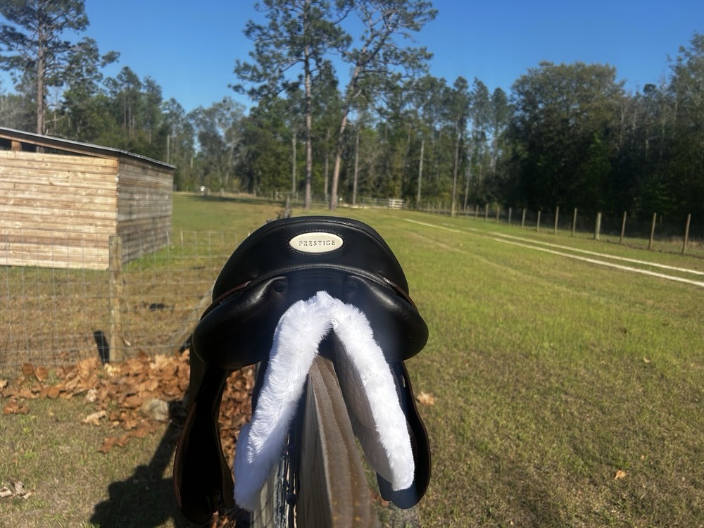 2024 17” Prestige Roma Jump Saddle