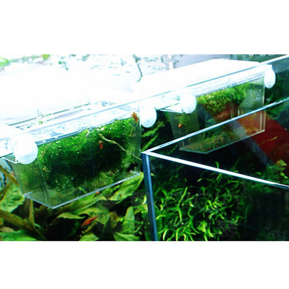 Aquarium Self-floating Fish Breeding Isolation Box Breeder Hatchery Incubator