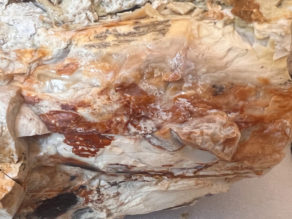 27 pound opalized agatized petrified wood display unique raw rare