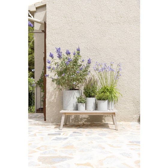 Round Rough Grey Planter 5.9" H Pot