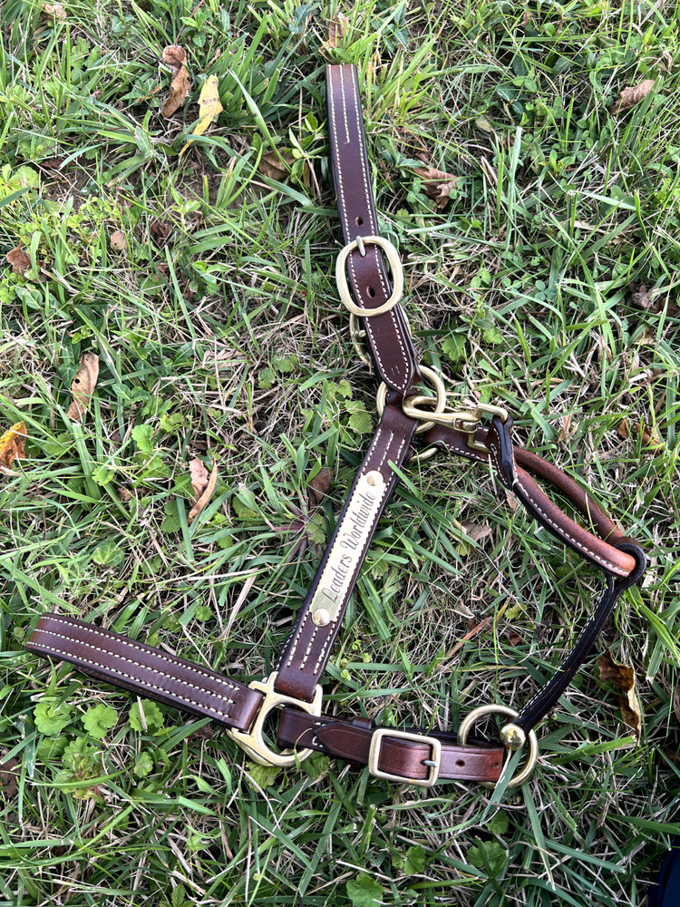 Leaders 1" Havanna Brown Leather Halter White Stitch Solid Brass