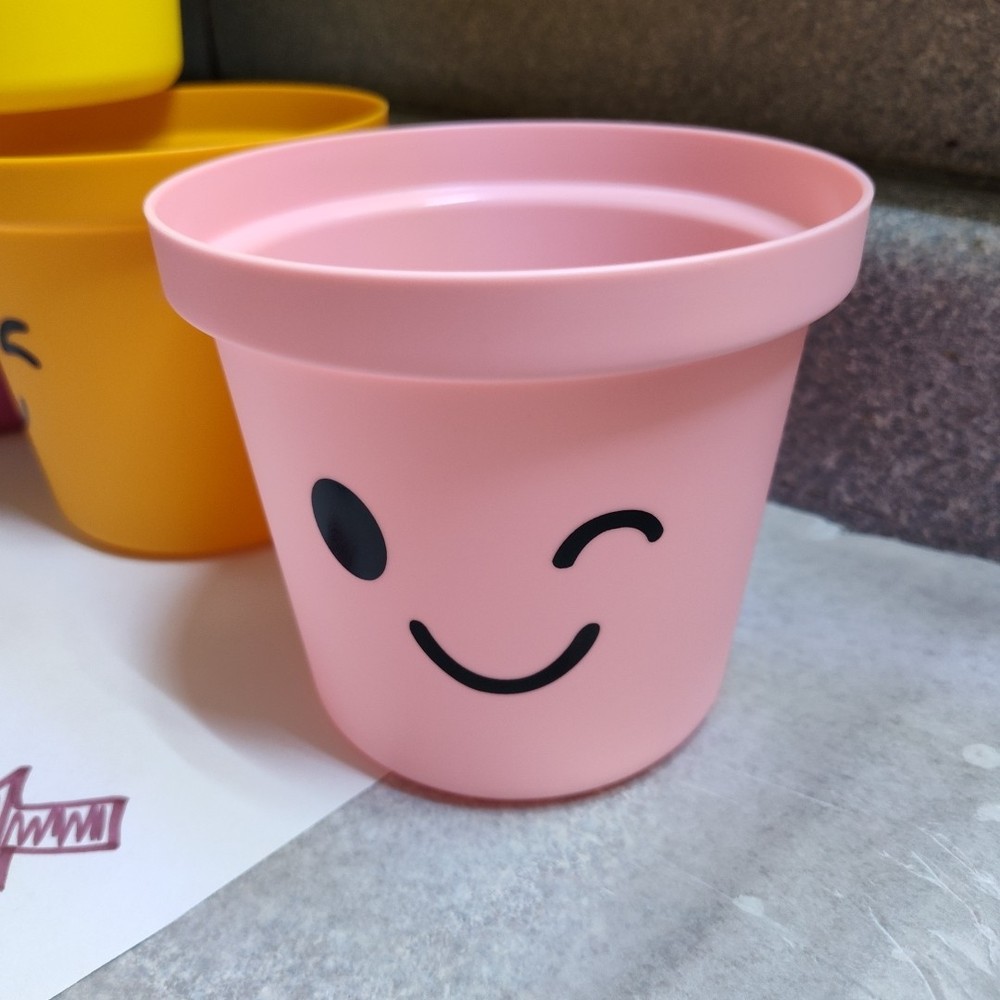 Smiling Faces Planters House Plant Pots