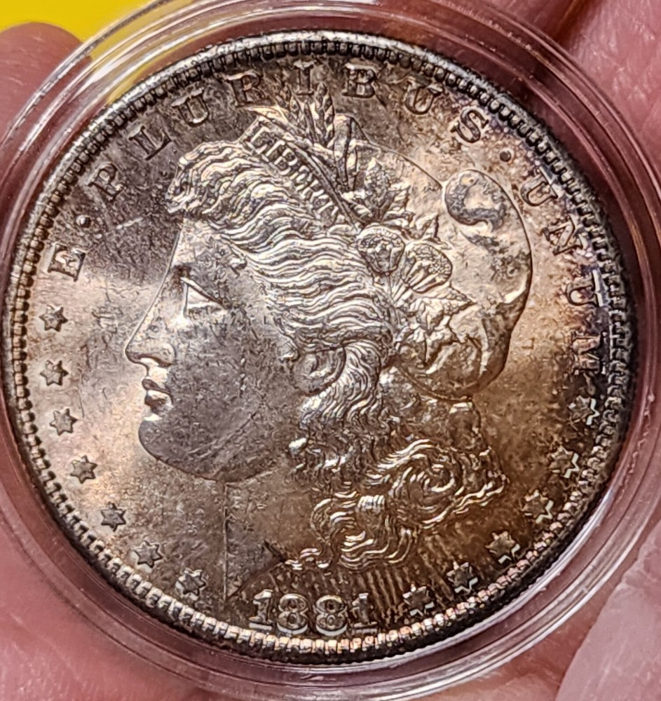 1881-S $1 Morgan Silver Dollar~TONED