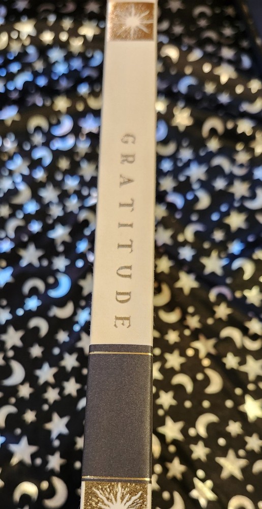 NEW-Dreamy Moons Gratitude Journal