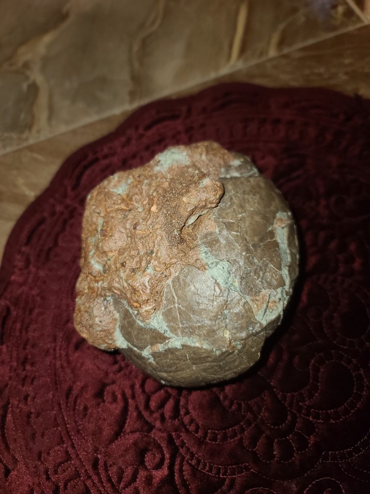 Authentic Hadrosaur Dinosaur Egg